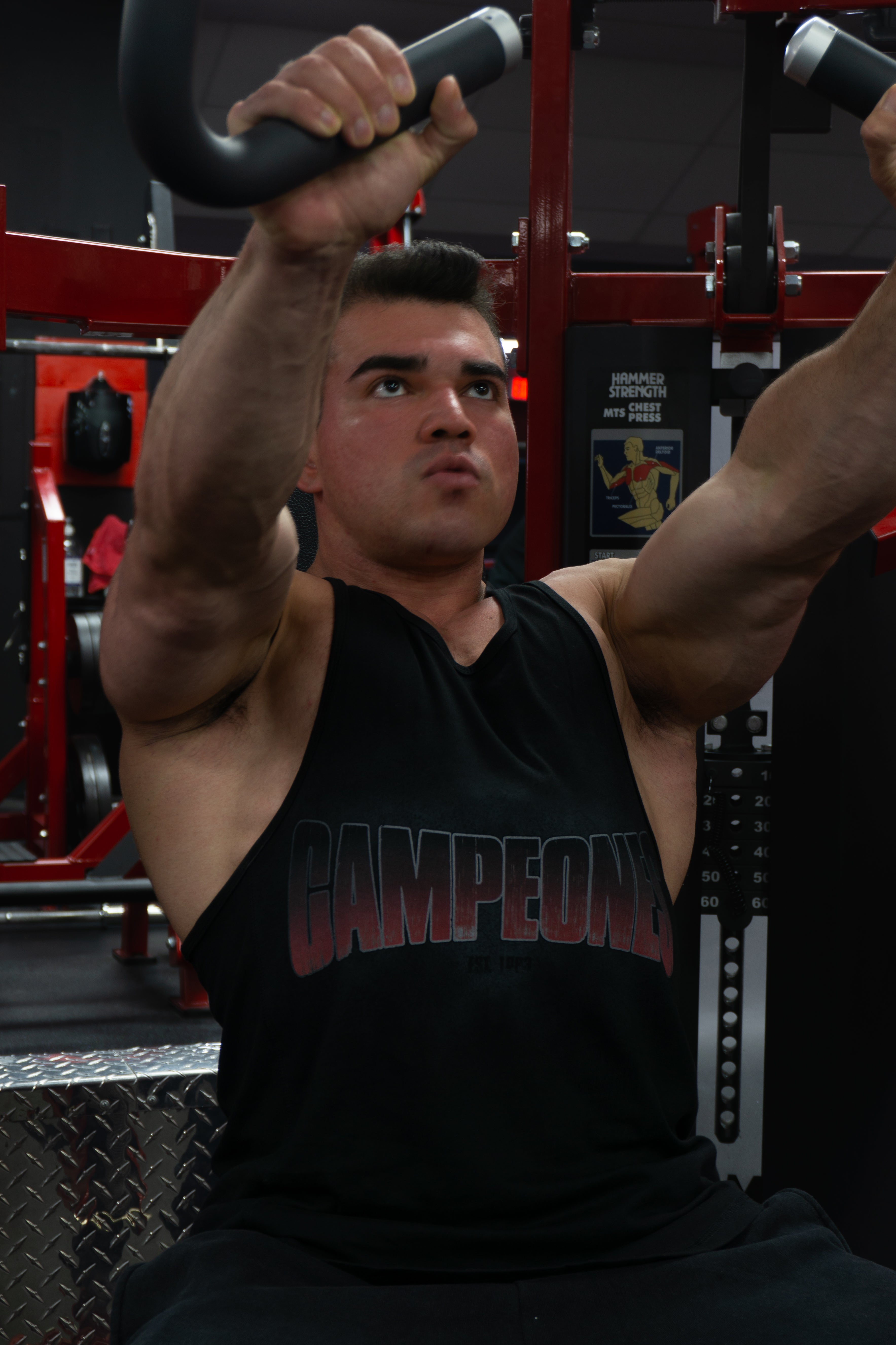 Campeones Stringer