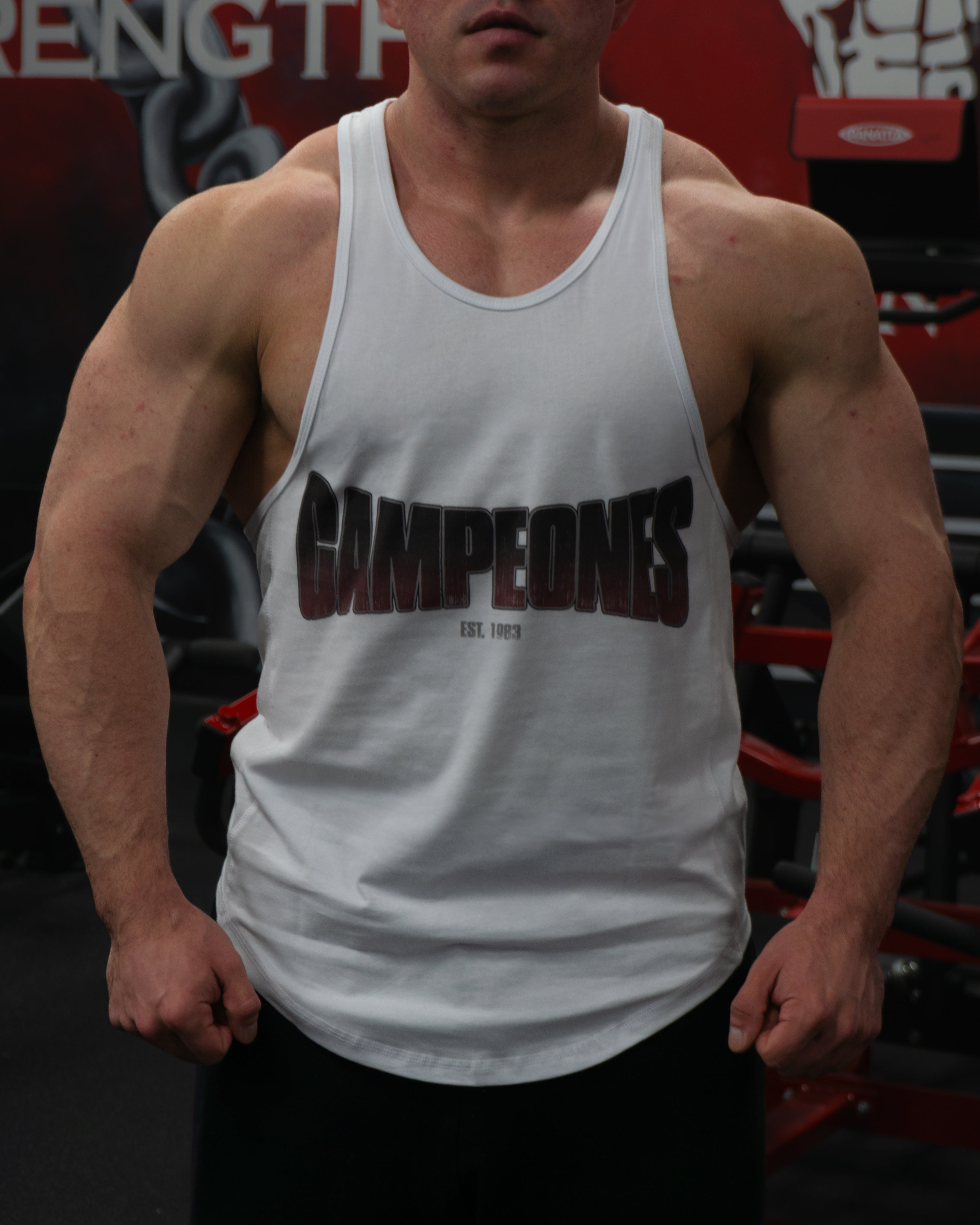 Campeones Stringer